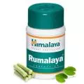 Купити Румала Хімала, Rumalaya Himalaya 60 tab