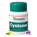 Купити Цистон Хімалая, Cystone Himalaya 60 таб