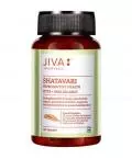 Купити Шатаварі Джіва, Shatavari Jiva Ayurveda, 120 таб.