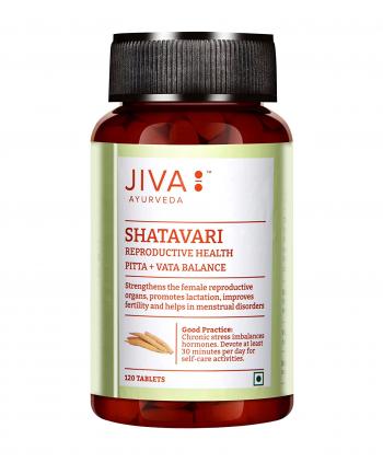 Купить Шатавари Джива, Shatavari Jiva Ayurveda, 120 таб.